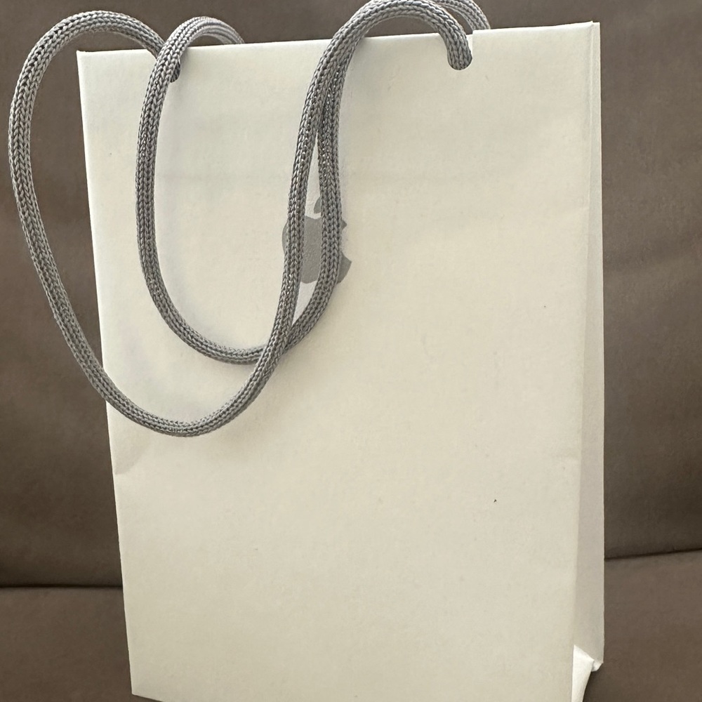 Apple small iPhone Gift Bag with Gray Handles
